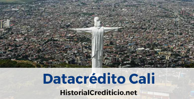 Contacar Datacredito Cali